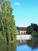 Teich am Stadtpark mitten in Teterow